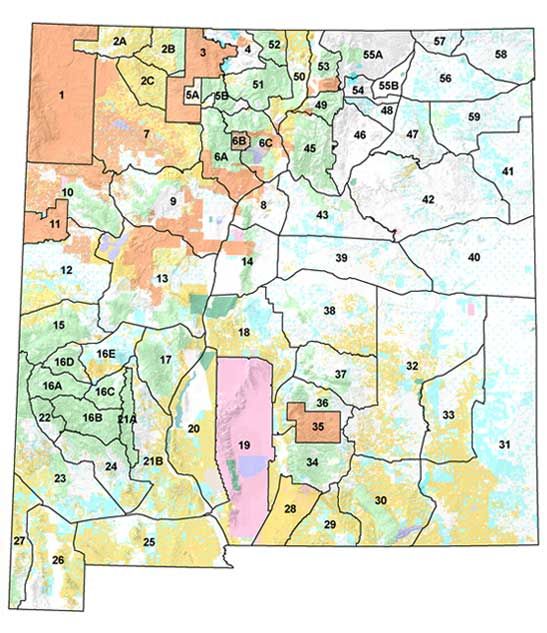 Elk hunting units in NM